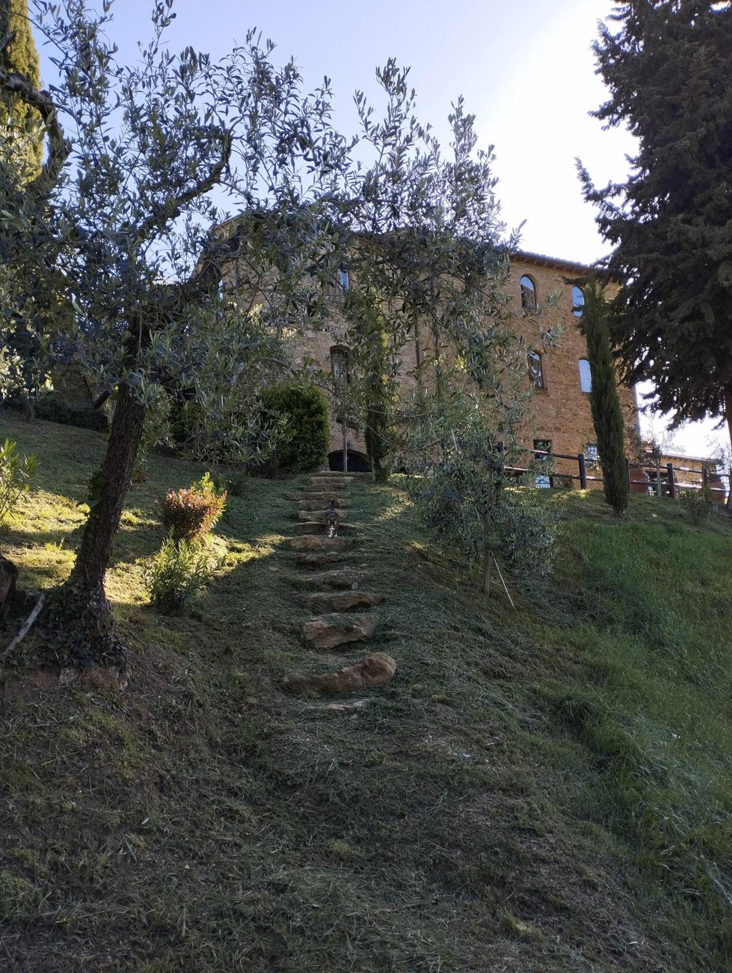 Rocca Degli Olivi Bed and Breakfast San Gimignano Exterior foto